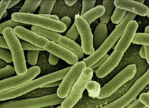 microbiologia#111