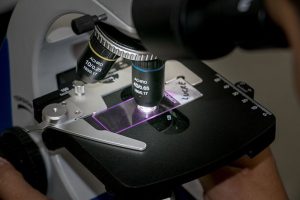 microscopio biologica