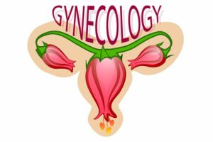 ginecología