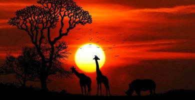 publicidad-africa