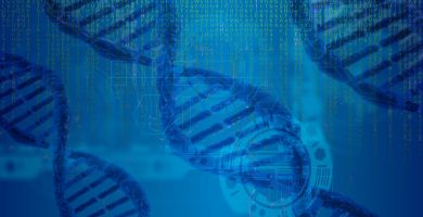 dna ga3f80ca8c 1920