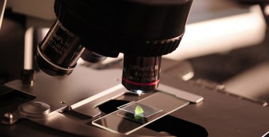 biotecnologia
