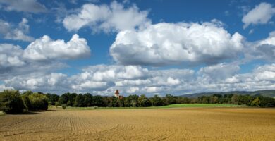 agricultura