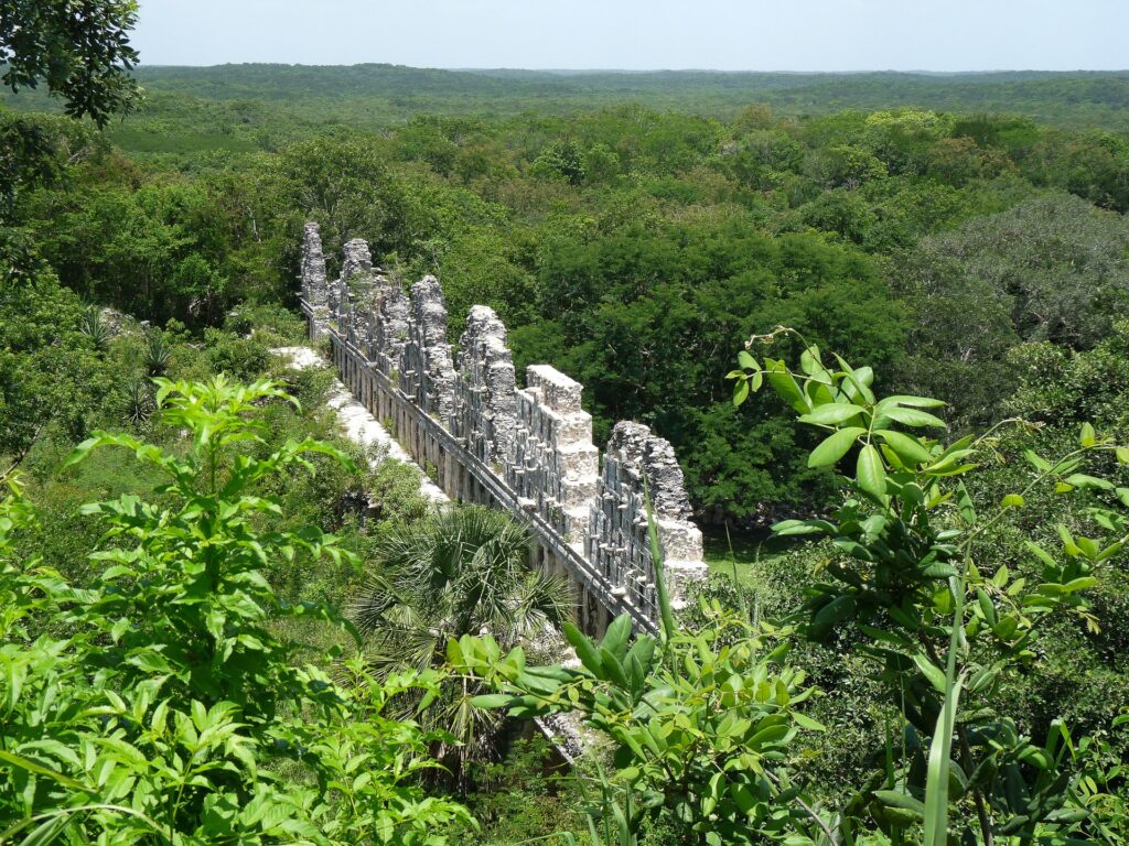 Selva maya
