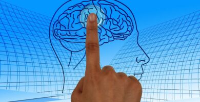 brain 770044 1280