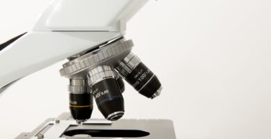 bacteriología