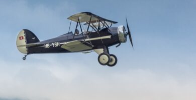 Piloto